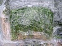 Аквариумные растения оптом из Таиланда
