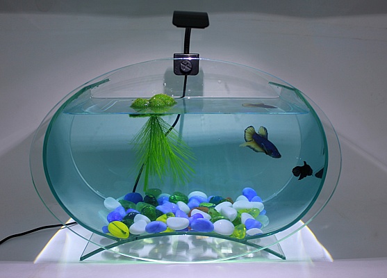 Мини-лампа AQUAEL LEDDY TUBE MINI для маленького аквариума
